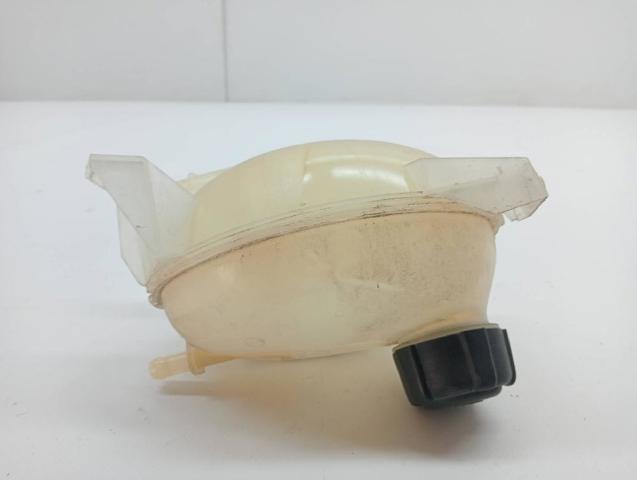 217104354R RENAULT Vaso de expansión comprar Alcalá