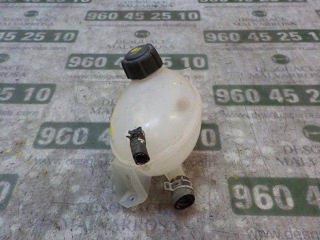 217104354R RENAULT Vaso de expansión comprar Bilbao