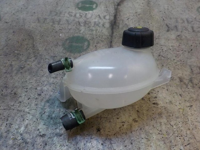 217104354R RENAULT Botella de refrigeración  comprar en Lleida