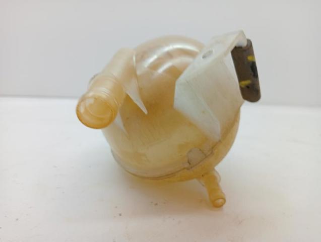 217104354R RENAULT Vaso de expansión comprar Madrid