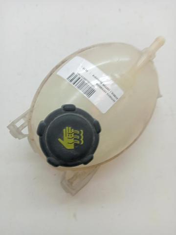 217104354R RENAULT Botella de refrigeración  disponible Ourense