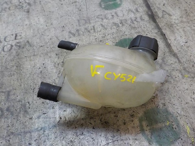 217104354R RENAULT Vaso de expansión comprar Bilbao