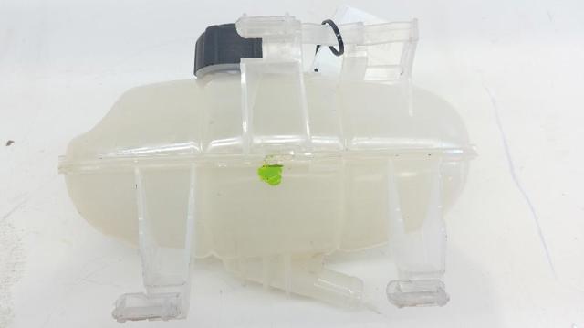 217106703R Renault (RVI)