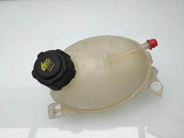 217107259R Vaso de expansión  en stock Castellón