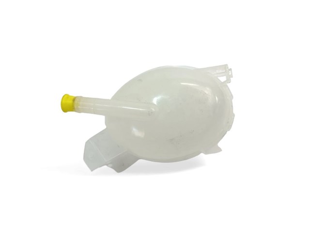217107259R RENAULT Vaso de expansión  en stock Huelva