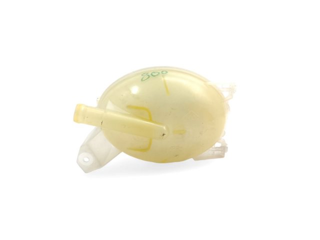 217107259R RENAULT Vaso de expansión  en stock Huelva