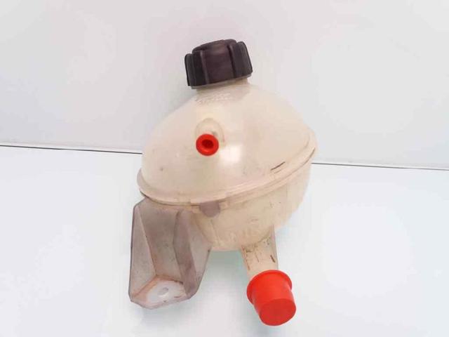 217107259R RENAULT Vaso de expansión comprar Bilbao