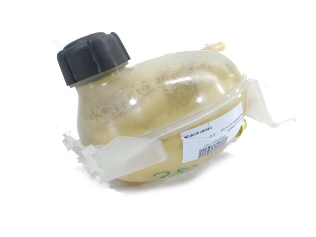 217107259R RENAULT Depósito de expansión del sistema de refrigeración  disponible Vigo