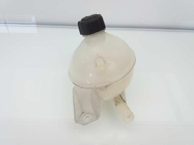 217107259R RENAULT Vaso de expansión  en stock Córdoba