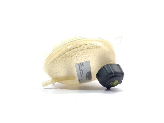 217107259R RENAULT Depósito de expansión del sistema de refrigeración  disponible Vigo