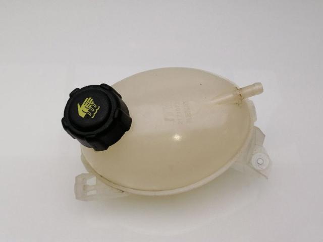 217107259R RENAULT Botella de refrigeración  comprar en Jaén