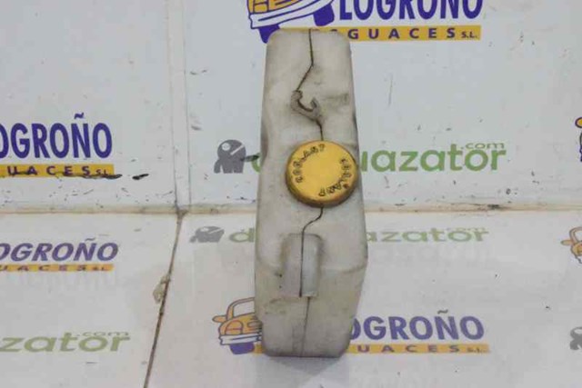 Botella de refrigeración Nissan Terrano 2 R20