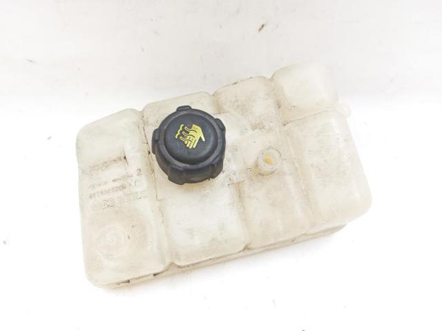 217108467R Renault (RVI)