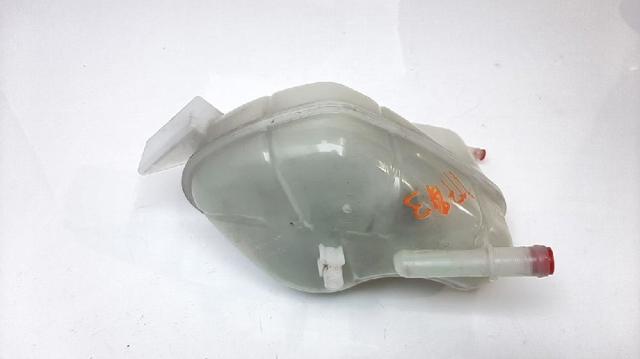 Botella de refrigeración Nissan Qashqai 2 J11