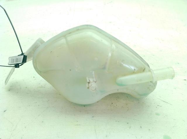 Botella de refrigeración Nissan Qashqai 2 J11