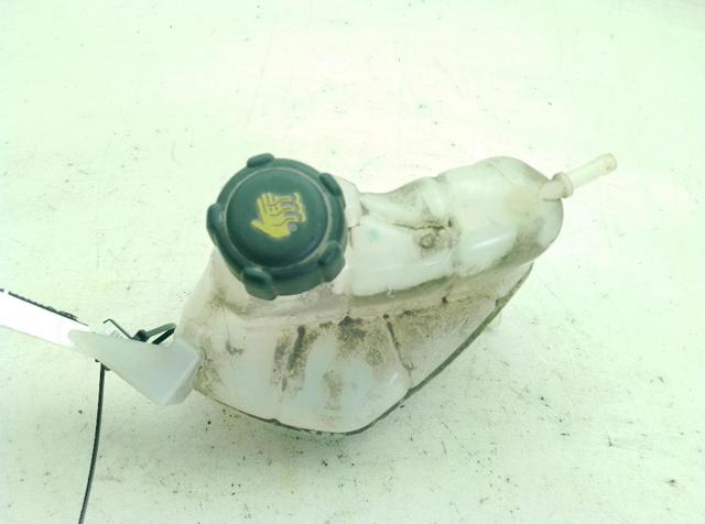 Botella de refrigeración Nissan Qashqai 2 J11