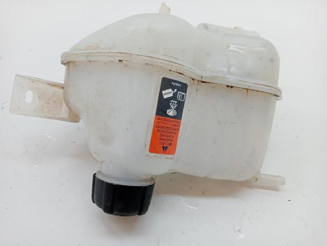 Botella de refrigeración Nissan Qashqai 2 J11