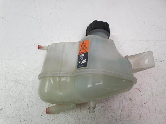 Botella de refrigeración Nissan Qashqai 2 J11