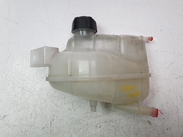 Botella de refrigeración Nissan Qashqai 2 J11
