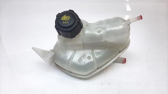 Botella de refrigeración Nissan Qashqai 2 J11