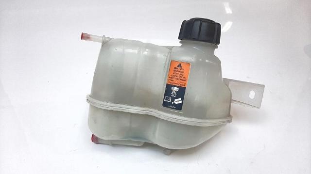 Botella de refrigeración Nissan Qashqai 2 J11
