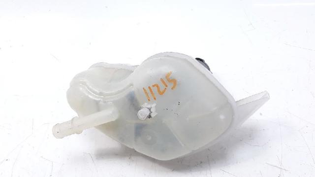 Botella de refrigeración Nissan Qashqai 2 J11