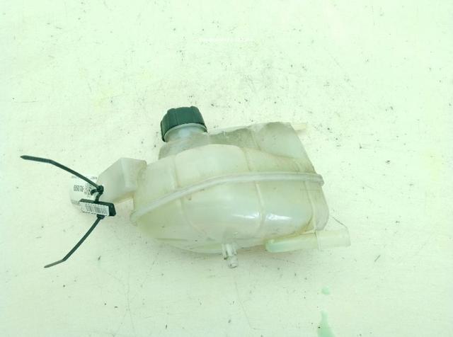 Botella de refrigeración Nissan Qashqai 2 J11