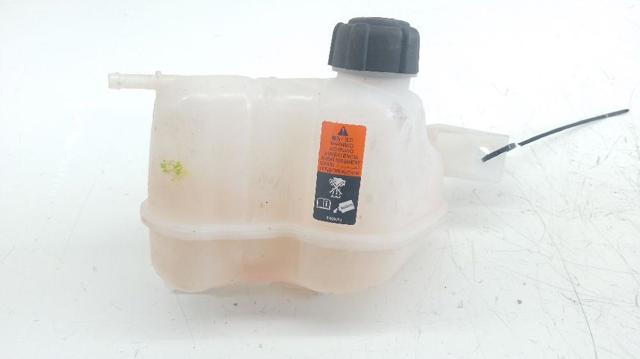 RENAULT 217114EA0A Vaso de expansión comprar Barcelona