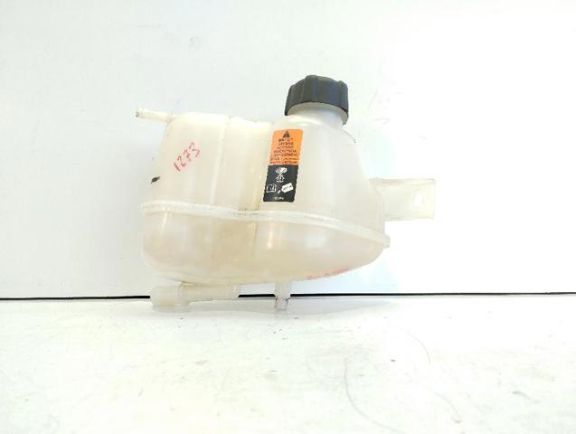 217114EA0A Renault (RVI)