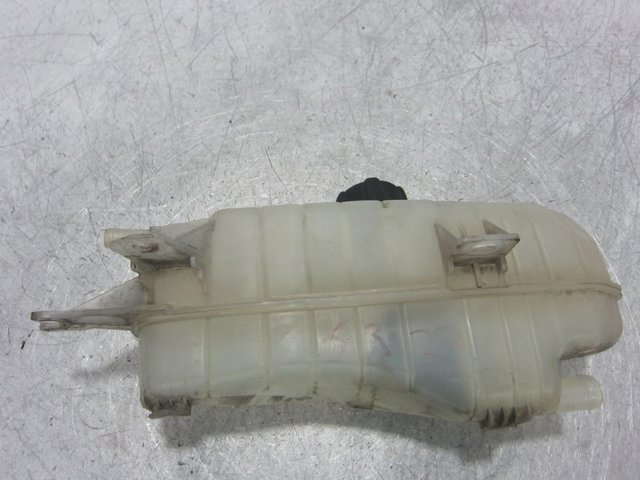 NISSAN 21711AX600 Vaso de expansión  en stock Salamanca