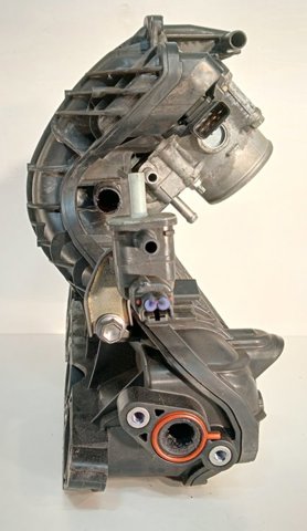 2203037060 Cuerpo de mariposa  en stock Sabadell