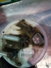 Sensor de tanque de combustible 2232009400 SSANG YONG