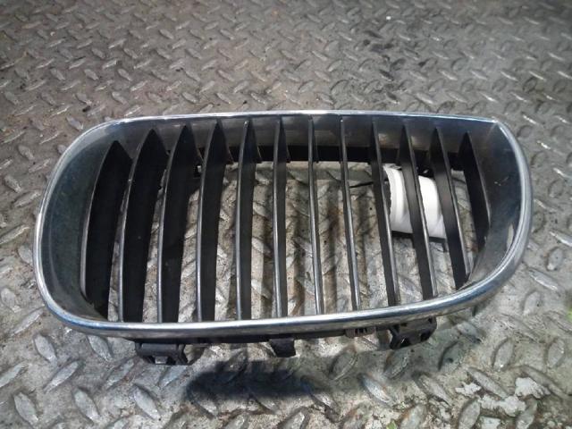 22405910 BMW Parrilla izquierda del radiador  disponible Vigo
