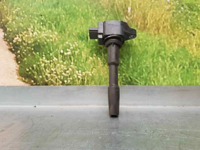 RENAULT 224332428R Bobina comprar Tarragona