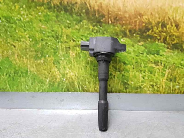 224332428R RENAULT Bobina  en stock Gandía