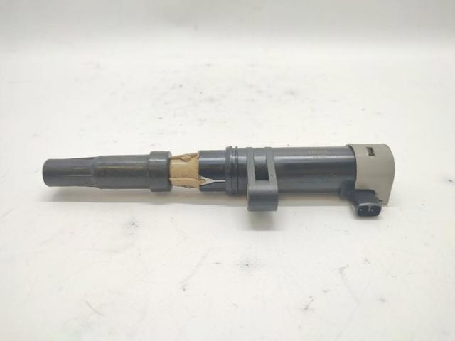 224332597R Bobina de encendido  comprar en Pontevedra