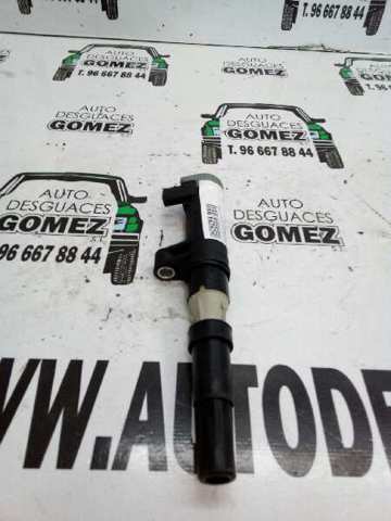224333529R Bobina de encendido  comprar en Reus