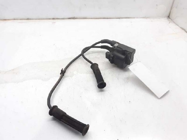 224336134R Renault (RVI)