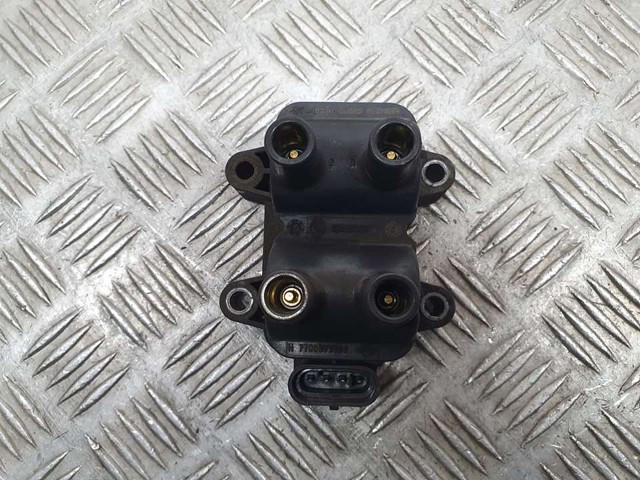 224336134R Bobina de encendido  comprar en Pontevedra
