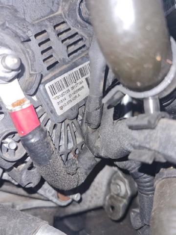 231007842R Alternador  disponible Burgos