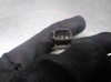 Inyector de combustible Toyota Corolla E12