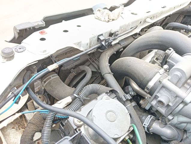 24402524 Opel