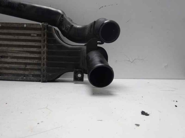 24436438 OPEL Intercooler  en stock Córdoba
