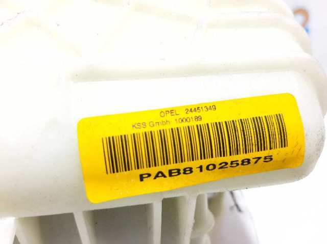 24451349 Opel