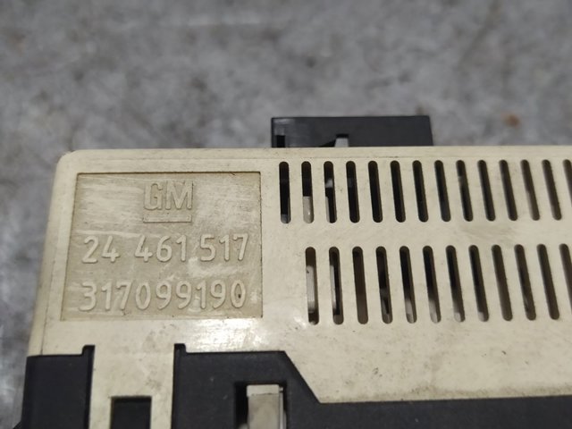 24461517 OPEL  en stock Córdoba