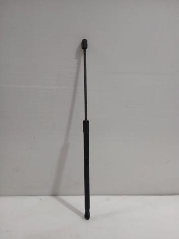 24465295 Amortiguador de capó  disponible Burgos