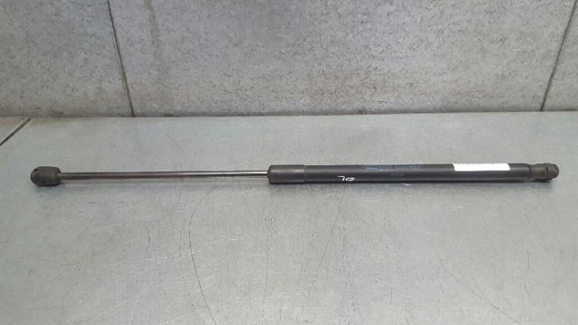 24465295 OPEL Amortiguador de capó  comprar en Jaén