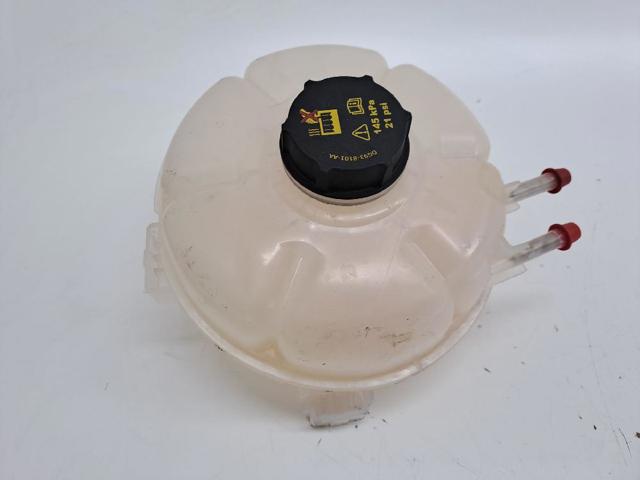 Vaso de expansión para Ford Kuga DFK