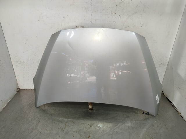 Capot Ford Fiesta VII ()