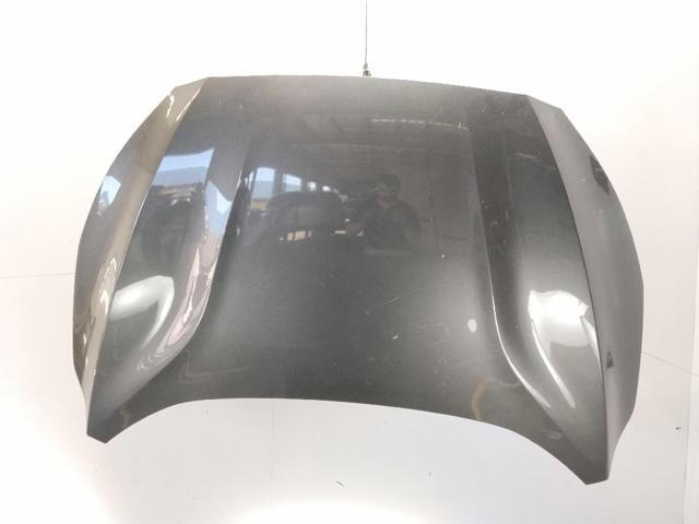 Comprar Capot Focus IV HN